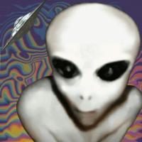 Flat Earth Chat Room. No registration needed.